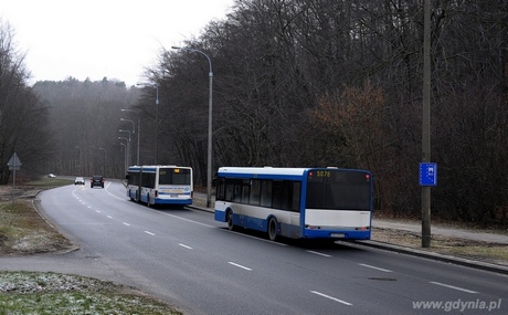 Autobusy na buspasie w Gdyni na ul. Kieleckiej, fot. Michał Kowalski
