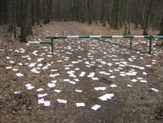 Zaczynamy wiosenne porządki, fot. Straż Miejska
