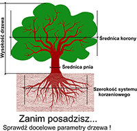 Zanim posadzisz...