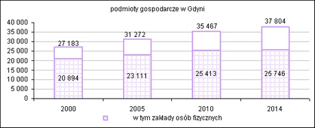 podmioty w latach