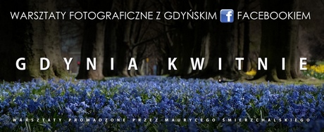 Warsztaty fotograficzne Gdynia Kwitnie