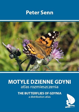 motyle dziene gdyni miniatura