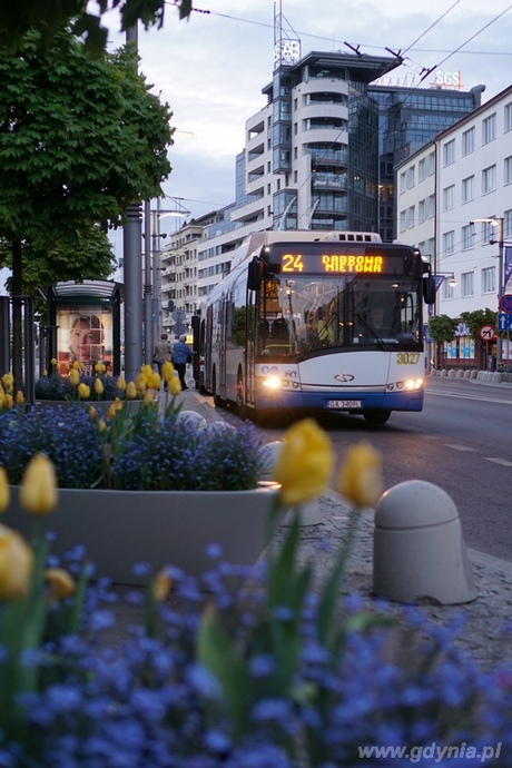 Gdynia Kwitnie, fot. Barbara Betlejewska