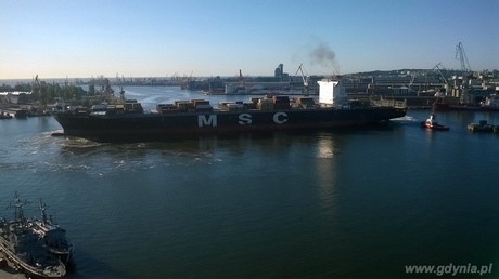 MSC Charleston w Gdyni, fot. Adam Schmidt / BCT