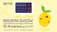 Owoce i chemia w Experymencie