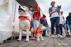 Kamizelki ratunkowe dla psów na 10. Targach Sportów Wodnych WIATR i WODA, fot. gdyniasport