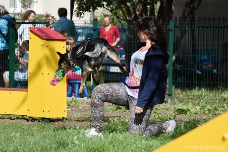 Nowy wybieg dla psów „Tucholska w Gdyni Oksywiu, fot. Michał Puszczewicz
