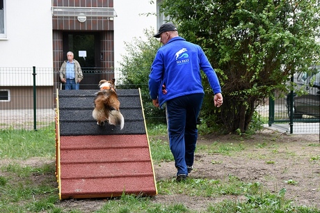 Nowy wybieg dla psów „Tucholska w Gdyni Oksywiu, fot. Michał Puszczewicz