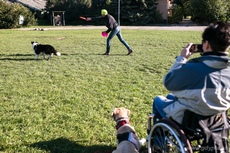 Zabawa z Frisbee na VII Gdyńskich Warsztatach dla Osób Niepełnosprawnych z psami asystującymi, fot. Karol Stańczak