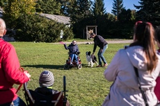 Zabawa z Frisbee na VII Gdyńskich Warsztatach dla Osób Niepełnosprawnych z psami asystującymi, fot. Karol Stańczak