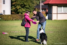 Zabawa z Frisbee na VII Gdyńskich Warsztatach dla Osób Niepełnosprawnych z psami asystującymi, fot. Karol Stańczak