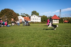Zabawa z Frisbee na VII Gdyńskich Warsztatach dla Osób Niepełnosprawnych z psami asystującymi, fot. Karol Stańczak