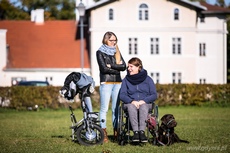 Zabawa z Frisbee na VII Gdyńskich Warsztatach dla Osób Niepełnosprawnych z psami asystującymi, fot. Karol Stańczak