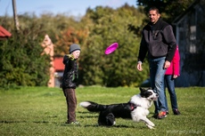 Zabawa z Frisbee na VII Gdyńskich Warsztatach dla Osób Niepełnosprawnych z psami asystującymi, fot. Karol Stańczak