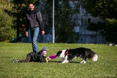 Zabawa z Frisbee na VII Gdyńskich Warsztatach dla Osób Niepełnosprawnych z psami asystującymi, fot. Karol Stańczak