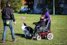 Zabawa z Frisbee na VII Gdyńskich Warsztatach dla Osób Niepełnosprawnych z psami asystującymi, fot. Karol Stańczak