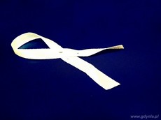 „Biała Wstążka” po raz VII w Gdyni, fot. Dorota Patzer