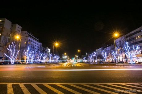 Świąteczne iluminację na drzewach na skwerze Kościuszki, fot. Karol Stańczak