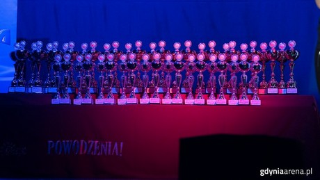 25. Finał Ogólnopolski Odysei Umysłu w Gdynia Arena, fot. gdyniasport.pl