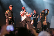 Section Boyz na Open`er Festival, fot. Karol Stańczak