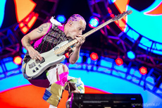Red Hot Chili Peppers na Open`er Festival, fot. Karol Stańczak