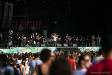 Zbigniew Wodecki i Mitch&Mitch na Open`er Festival, fot. Karol Stańczak