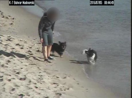 Uwaga! Pamiętaj o zakazie wyprowadzania psów na plażę! fot. Straż Miejska