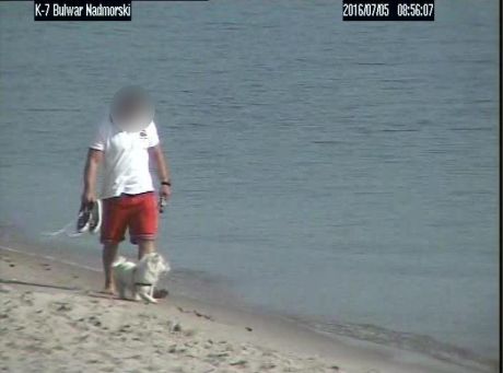 Uwaga! Pamiętaj o zakazie wyprowadzania psów na plażę! fot. Straż Miejska