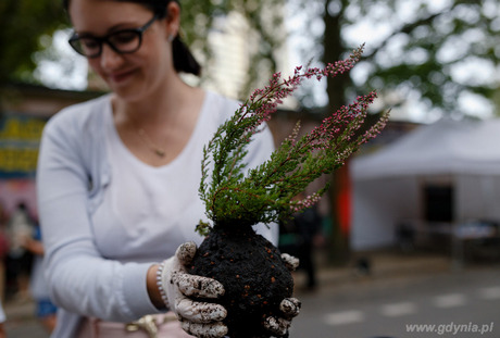 Sąsiedzkie, świętowanie podczas finału projektu „Kultura w dzielnicy, fot. M. Szymończyk