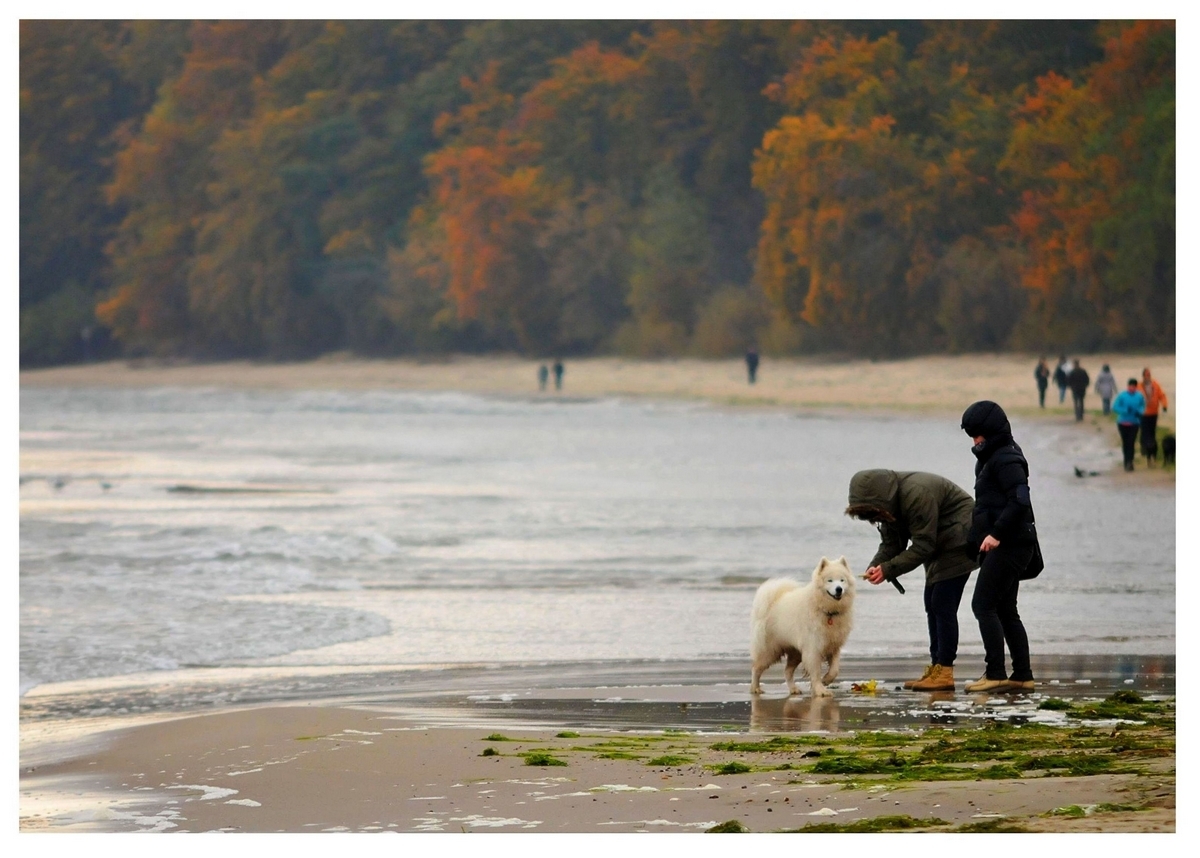 Warsztaty fotograficzne z gdyńskim Facebookiem - Jesienna Gdynia / fot. Marek Darul