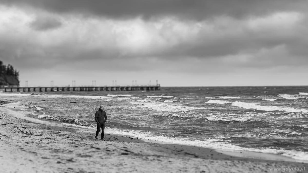 Warsztaty fotograficzne z gdyńskim Facebookiem - Jesienna Gdynia / fot. Marcin Woźniak