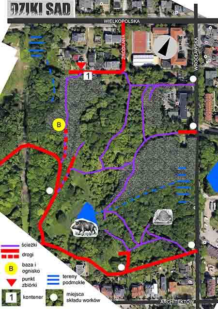 Plan Wielkiego Sprzątania „Dzikiego Sadu” w Orłowie Plan Wielkiego Sprzątania „Dzikiego Sadu” w Orłowie