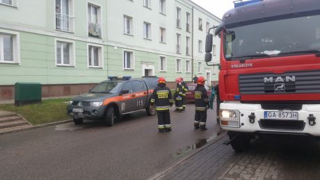 Osierocony pies, fot. Straż Miejska