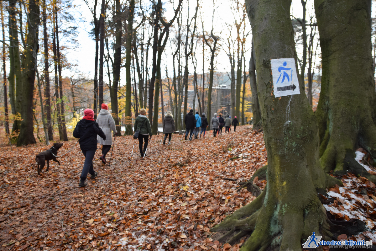 Gdyński szlak nordic walking, fot. Kuba Niewiński