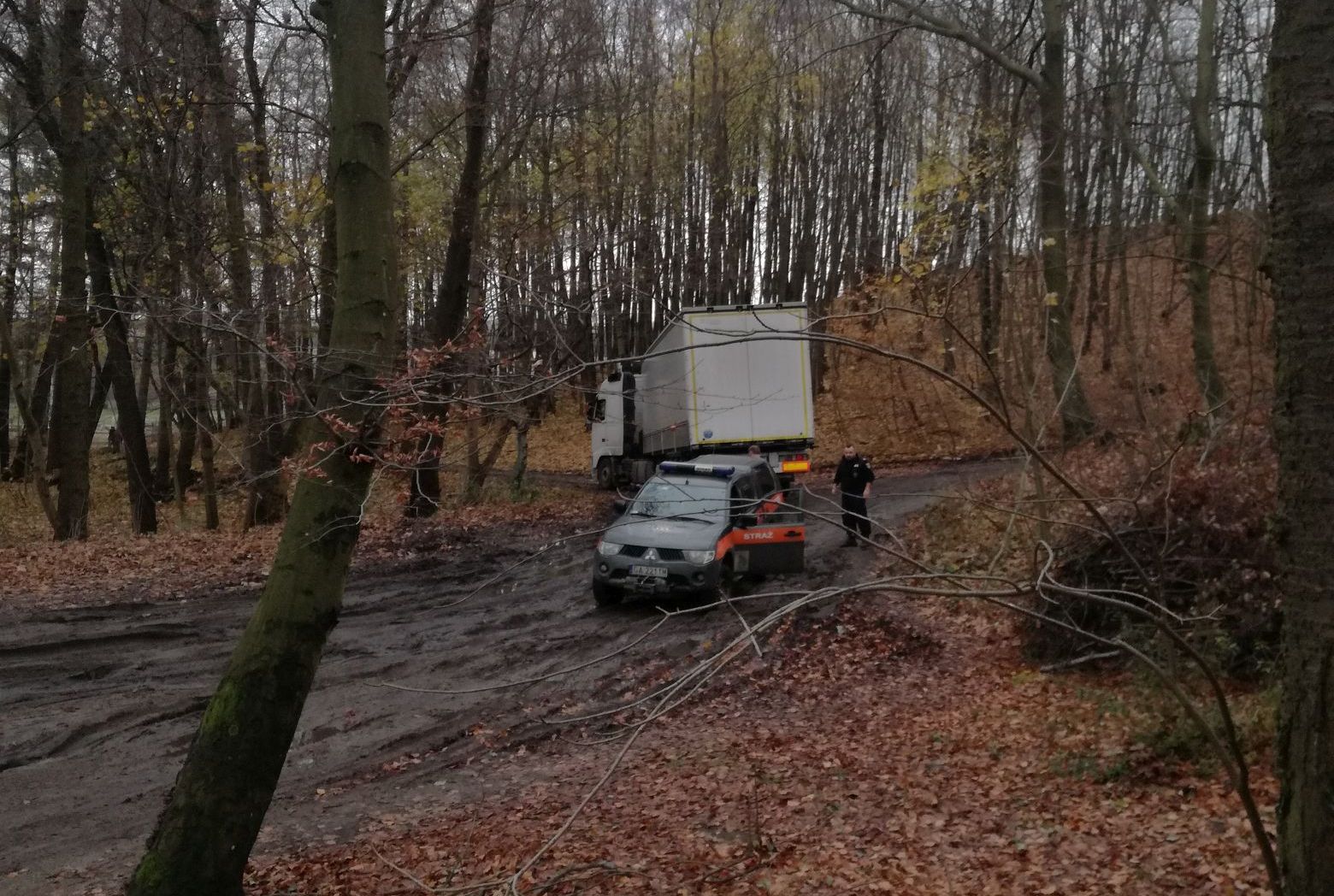 Tir w lesie, fot. Straż Miejska