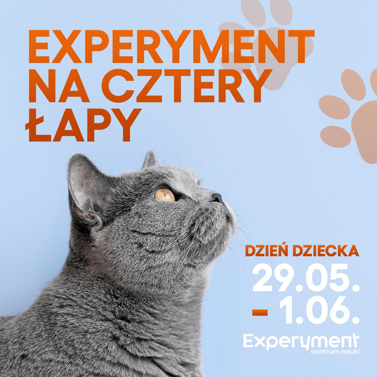 materiały Centrum Nauki Experyment