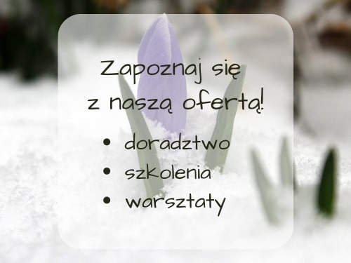 Grafika: zapoznaj się z naszą ofertą: doradztwo, szkolenia, warsztaty