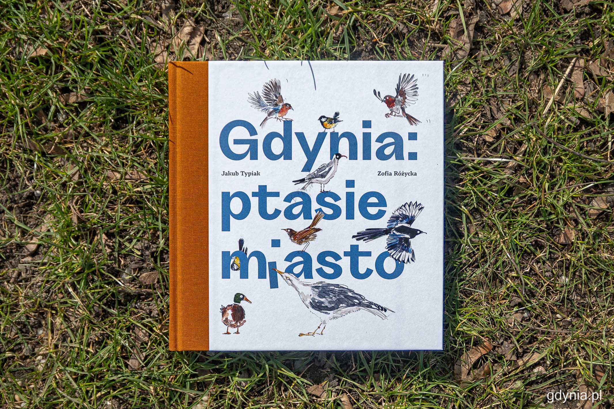Okładka książki „Gdynia - ptasie miasto”, Jakub Typiak, Zofia Różycka