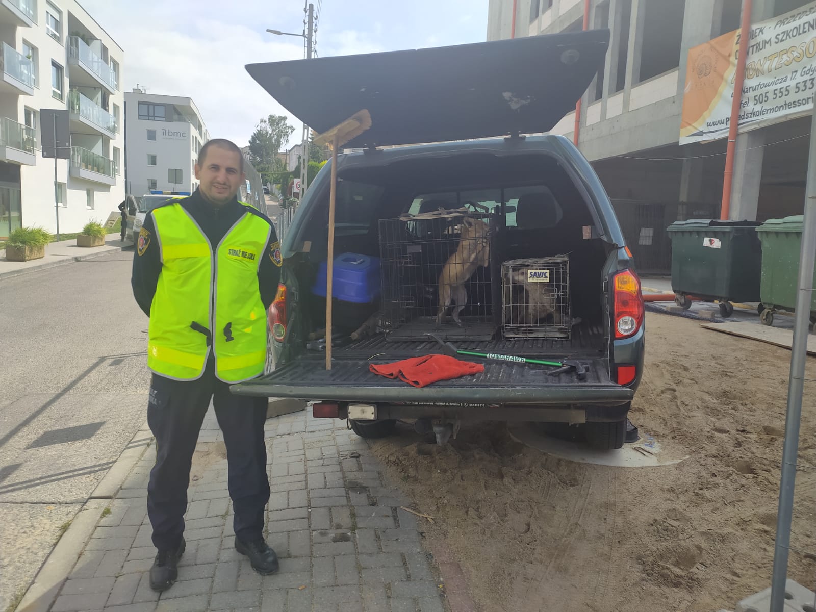 Lisy uratowane przez gdyński patrol Straży Miejskiej // mat. SM