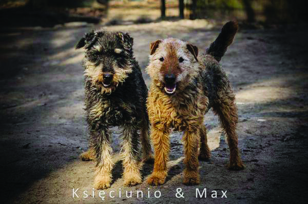 Max i Księciu