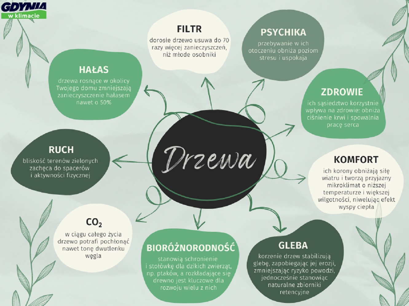 Infografika dotycząca walorów przyrodniczych drzew