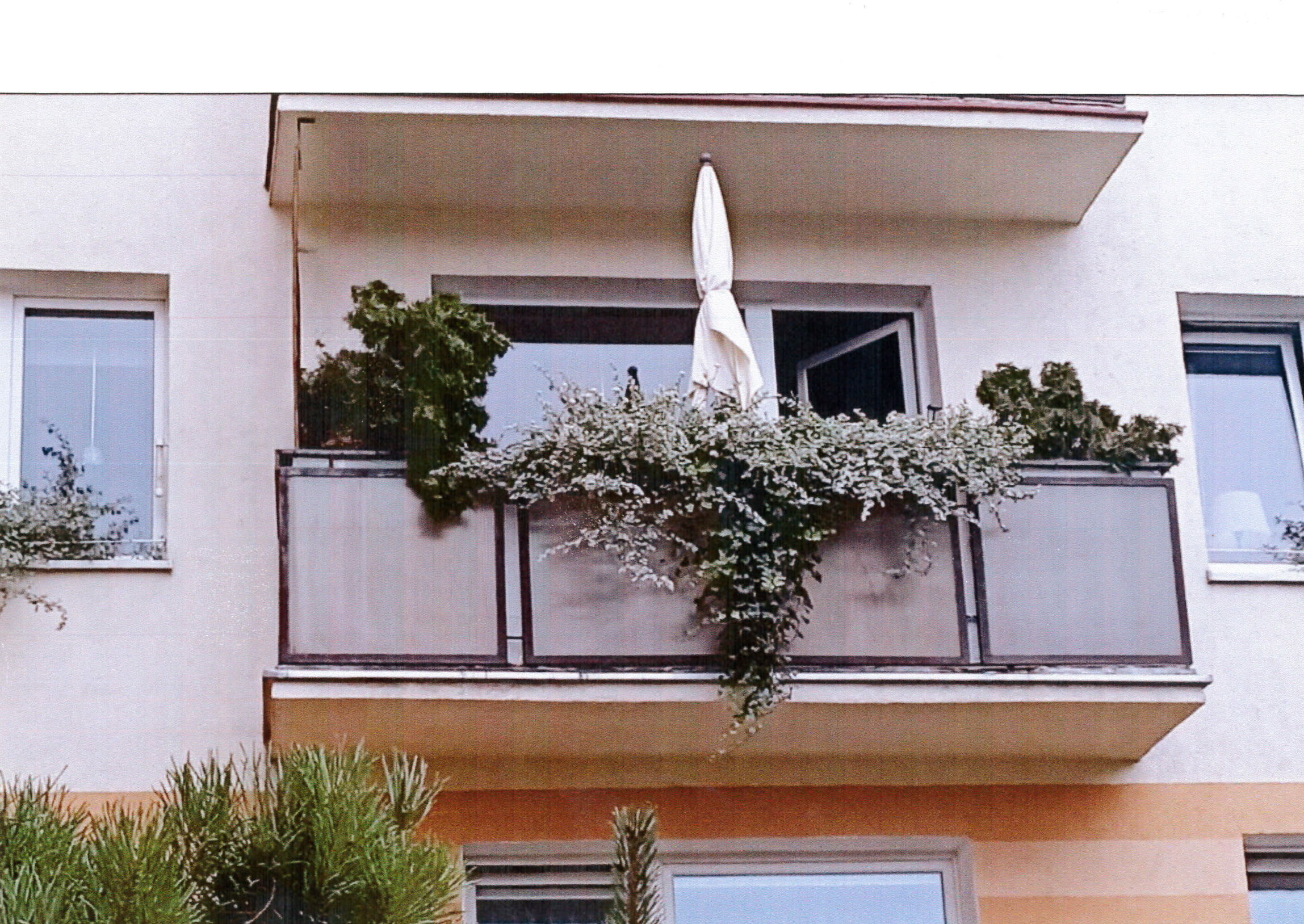 Aranżacja balkonu autorstwa Stanisława Antczaka z przewagą rdestu Auberta i traw