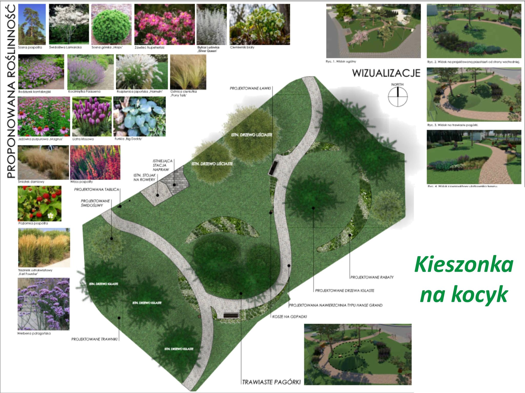 Projekt parku Kieszonka na Kocyk, mat. Wydział Ogrodnika Miasta
