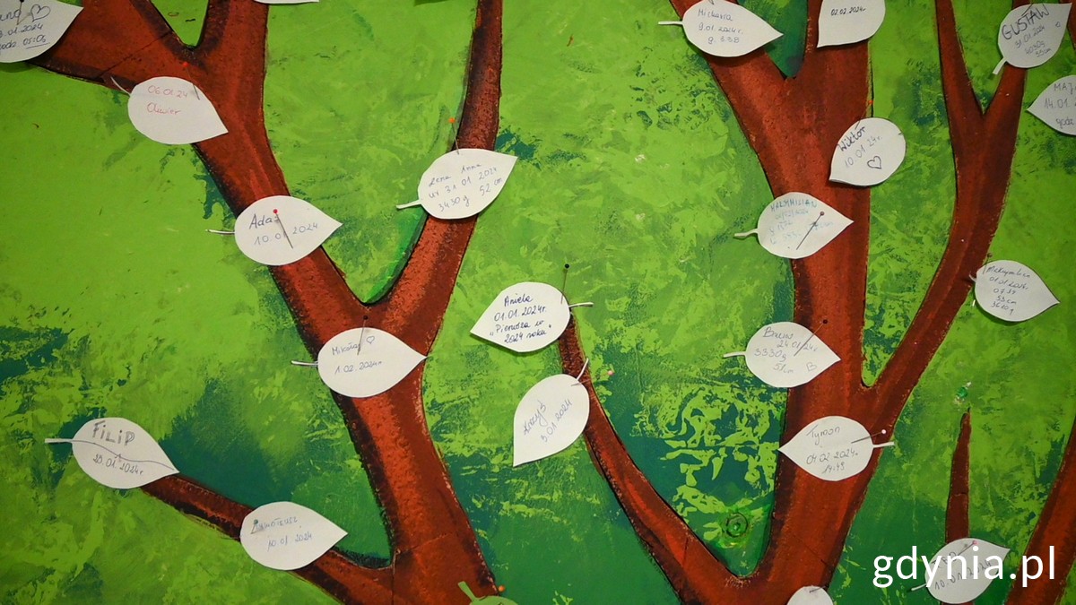 „Drzewo Życia” z papierowymi listkami, na których są wypisane imiona dzieci i ich daty urodzeń