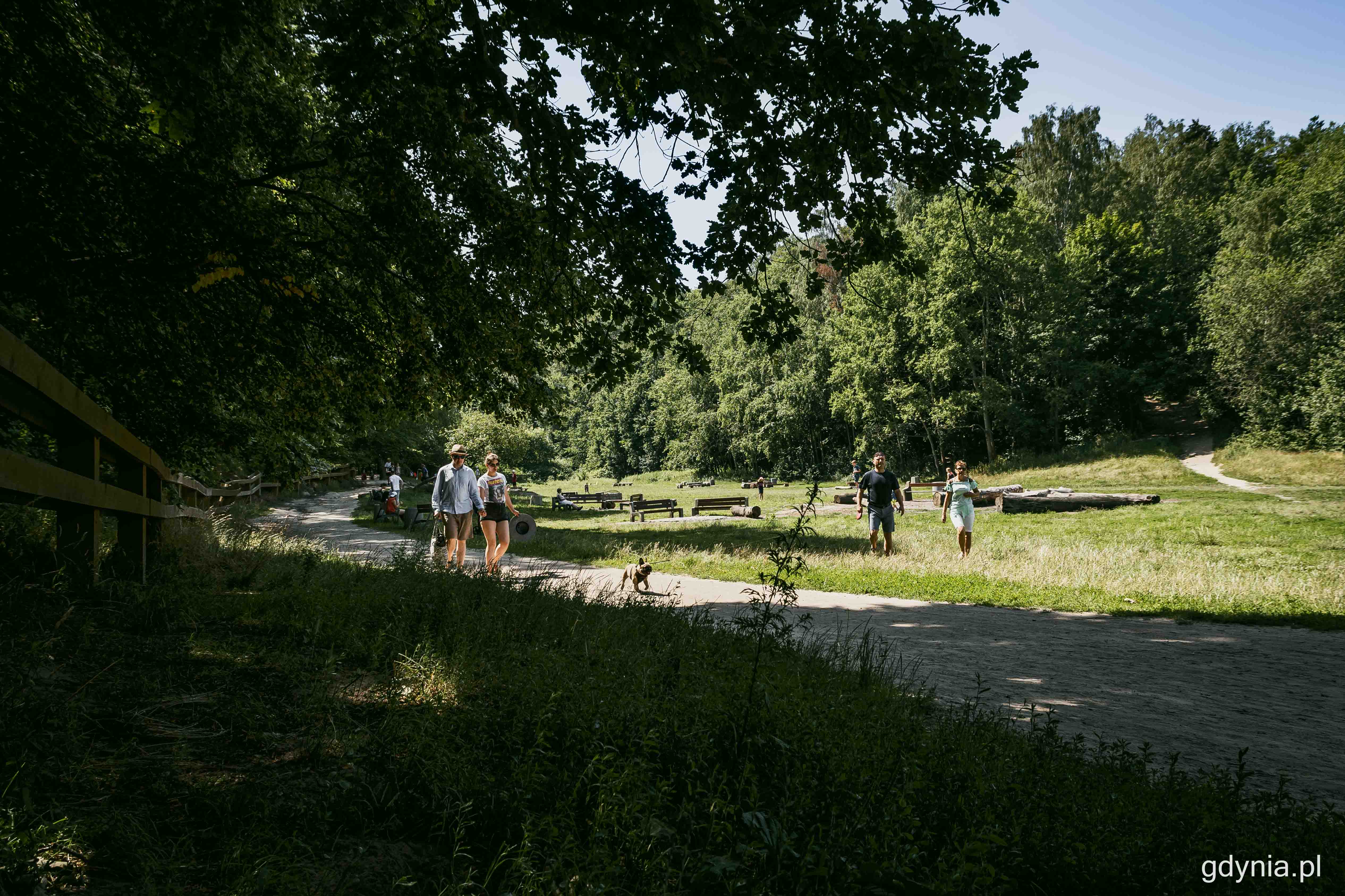 Gdynianie w Polance Redłowskiej cenią m.in. bliskość natury i możliwość swobodnego wypoczynku w dobrej lokalizacji, fot. Kamil Złoch / archiwalne