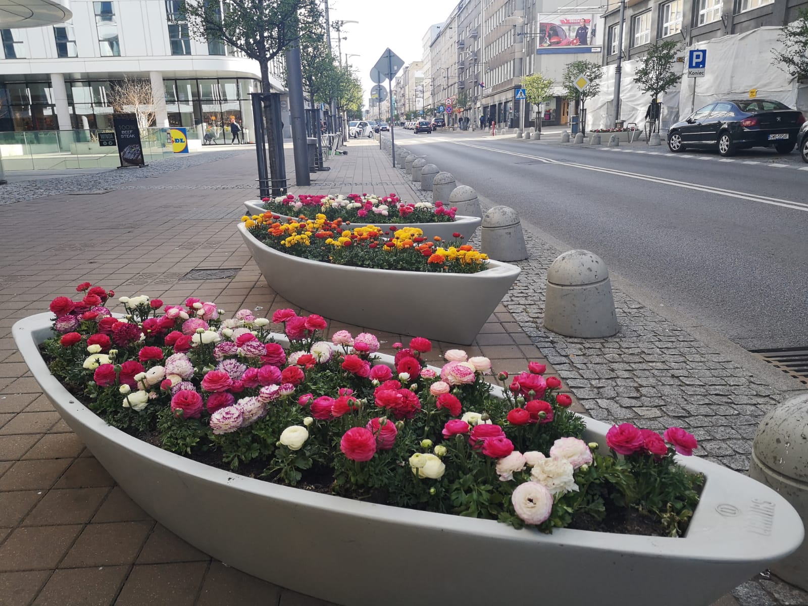 Gdyńskie łódeczki znów zakwitną na wiosnę, fot. Karolina Szypelt