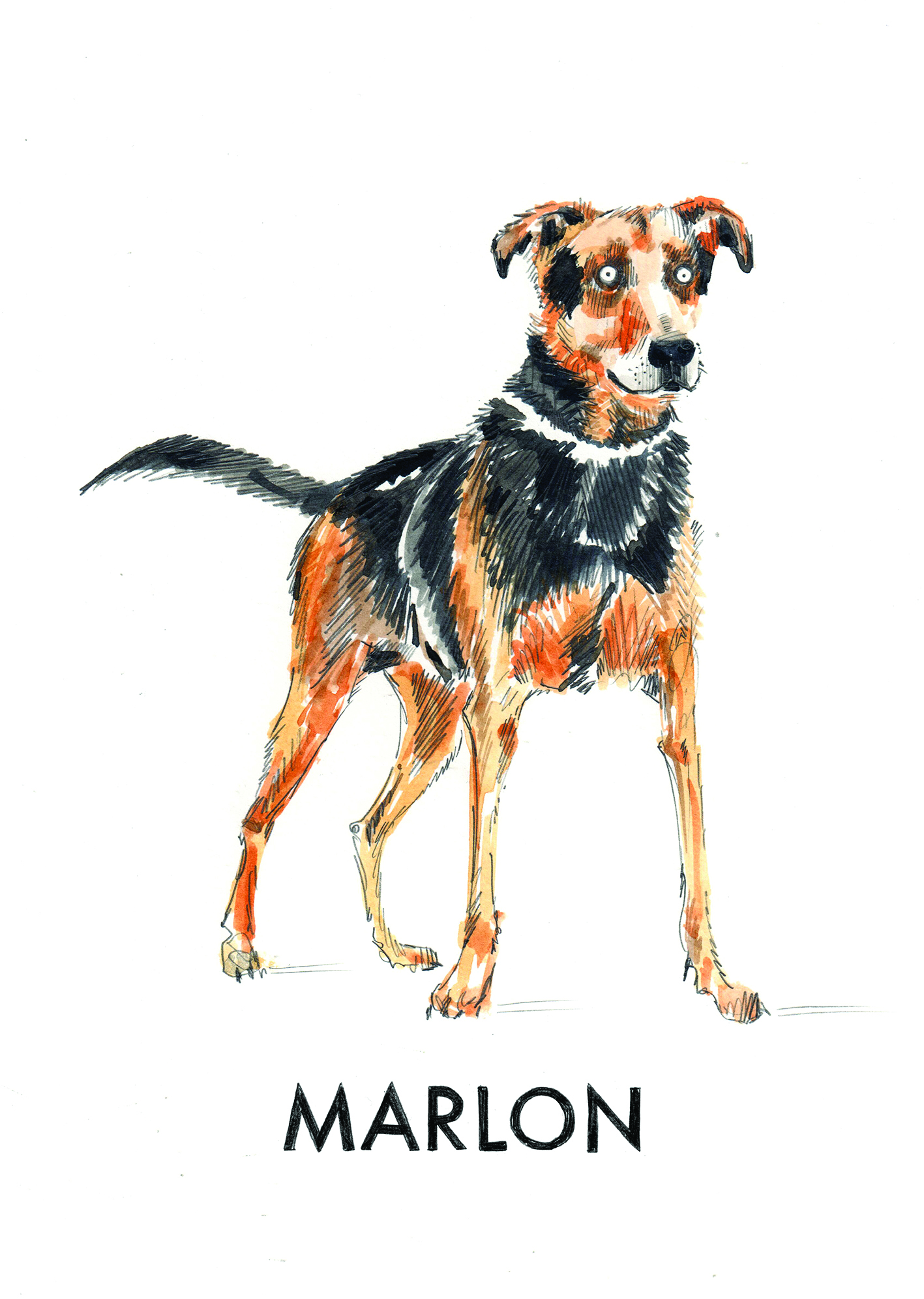 Marlon