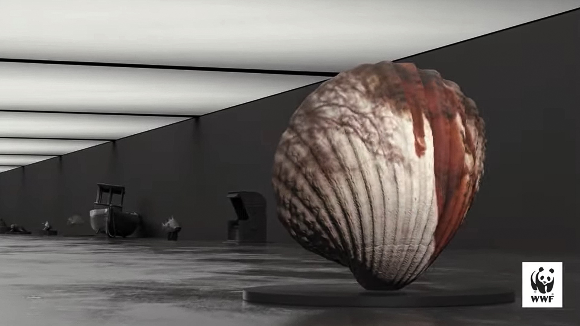 Bałtyk w wirtualnym muzeum, źródło: zrzut ekranu z video WWF Polska