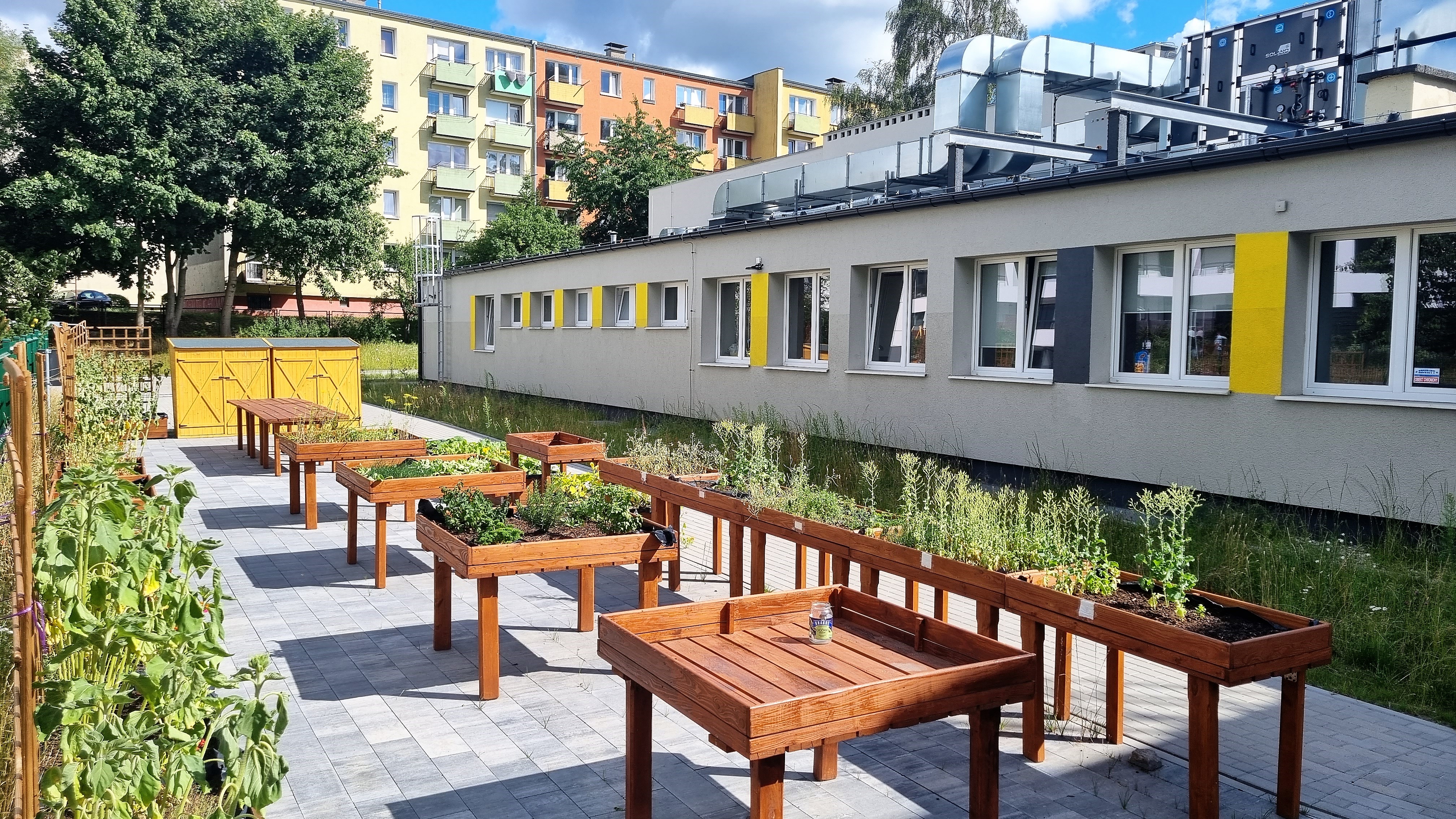 Ogród sąsiedzki w Przystani Chylońska 237 // fot. Laboratorium Innowacji Społecznych