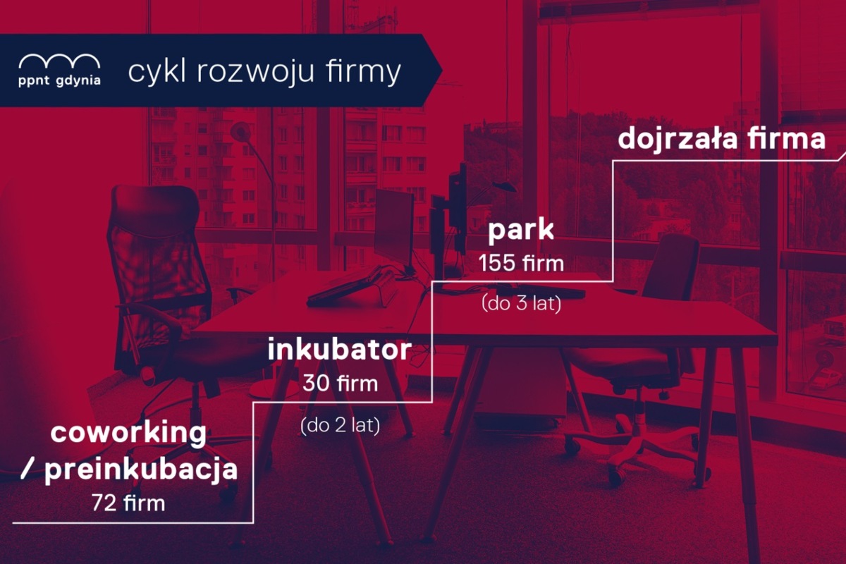 Grafika prezentująca cykl rozwoju firmy w Pomorskim Parku Naukowo-Technologicznym Gdynia // materiały PPNT